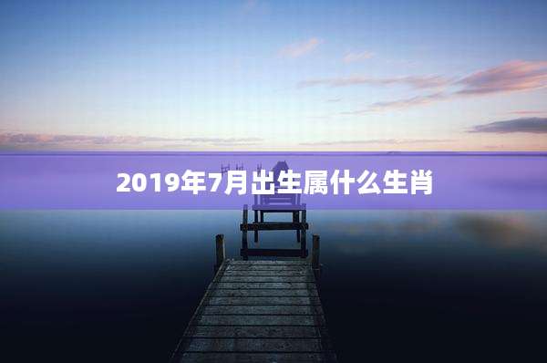 2019年7月出生属什么生肖
