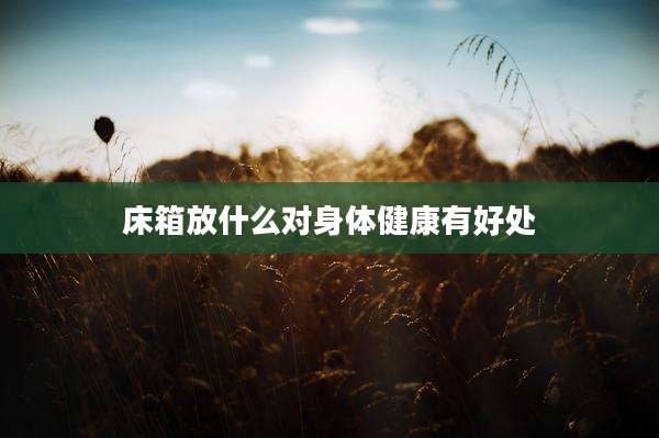 床箱放什么对身体健康有好处