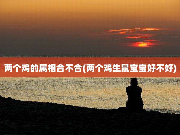 两个鸡的属相合不合(两个鸡生鼠宝宝好不好)