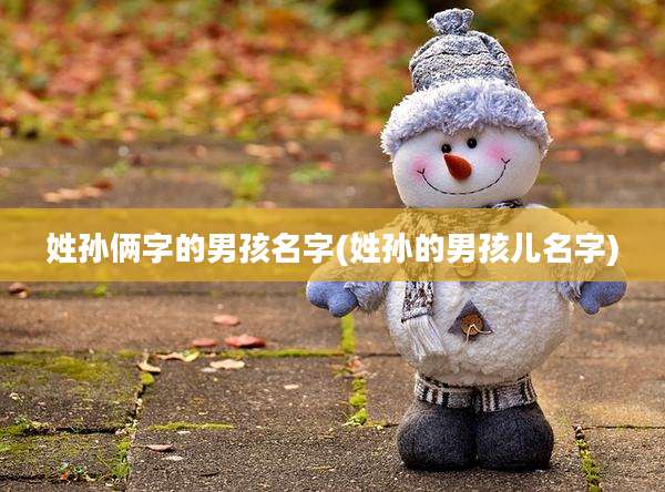姓孙俩字的男孩名字(姓孙的男孩儿名字)