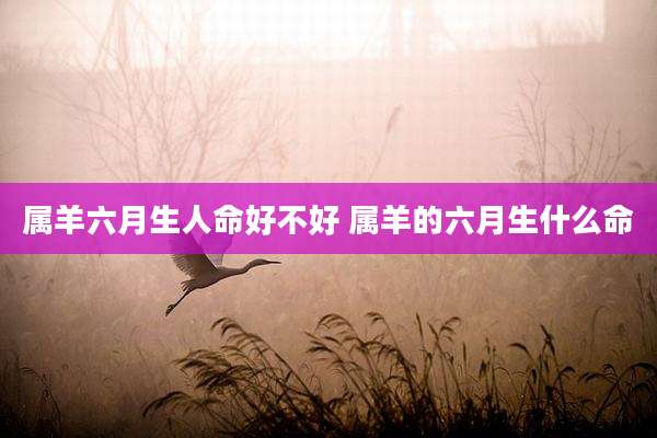 属羊六月生人命好不好 属羊的六月生什么命