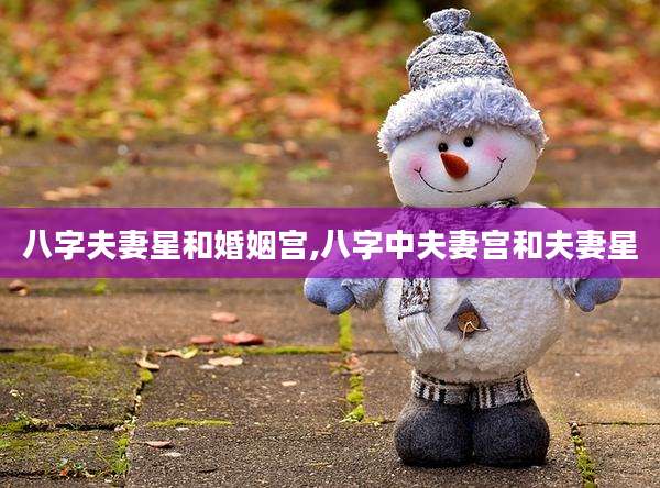 八字夫妻星和婚姻宫,八字中夫妻宫和夫妻星