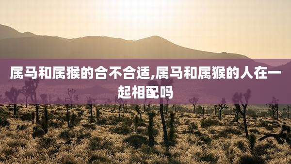 属马和属猴的合不合适,属马和属猴的人在一起相配吗