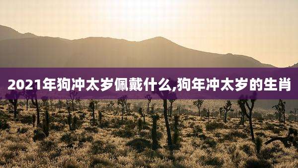 2021年狗冲太岁佩戴什么,狗年冲太岁的生肖