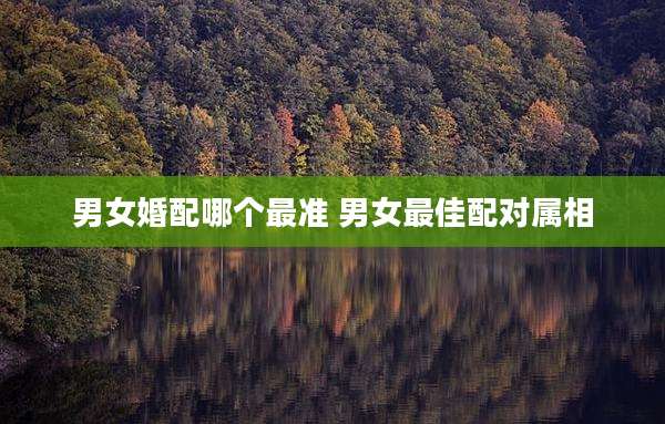 男女婚配哪个最准 男女最佳配对属相