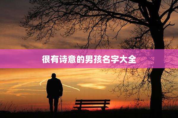 很有诗意的男孩名字大全