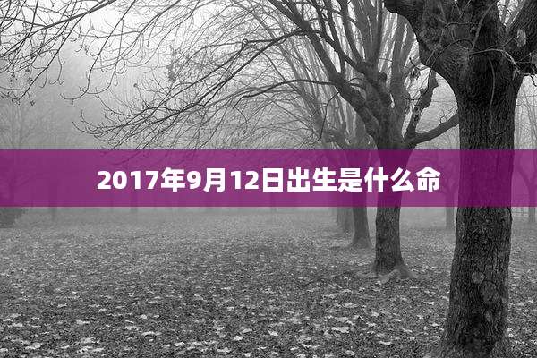 2017年9月12日出生是什么命