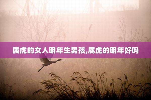 属虎的女人明年生男孩,属虎的明年好吗