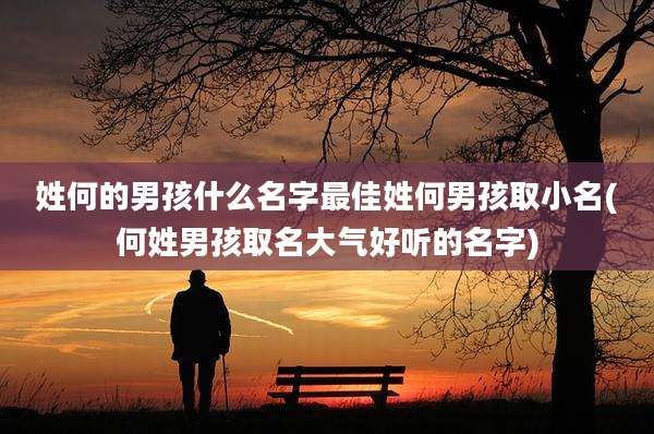 姓何的男孩什么名字最佳姓何男孩取小名(何姓男孩取名大气好听的名字)