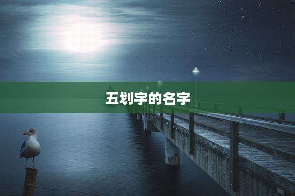 五划字的名字