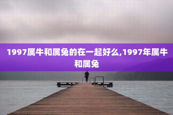 1997属牛和属兔的在一起好么,1997年属牛和属兔