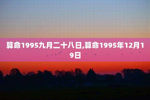 算命1995九月二十八日,算命1995年12月19日