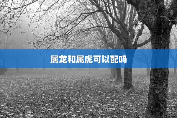 属龙和属虎可以配吗