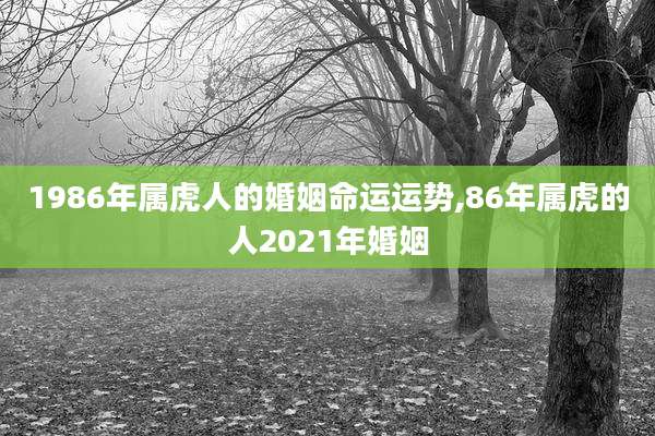 1986年属虎人的婚姻命运运势,86年属虎的人2021年婚姻