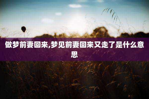 做梦前妻回来,梦见前妻回来又走了是什么意思