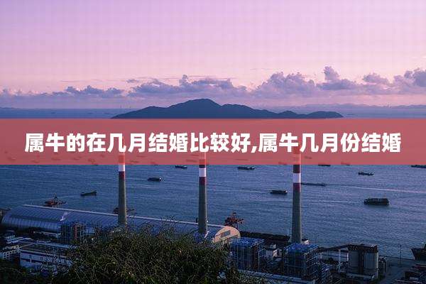 属牛的在几月结婚比较好,属牛几月份结婚