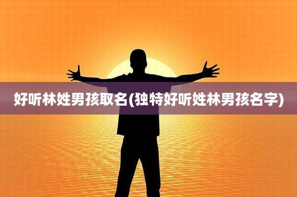 好听林姓男孩取名(独特好听姓林男孩名字)