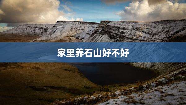 家里养石山好不好