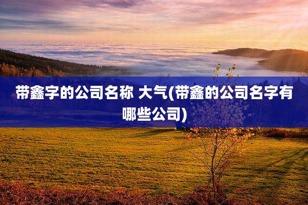 带鑫字的公司名称 大气(带鑫的公司名字有哪些公司)