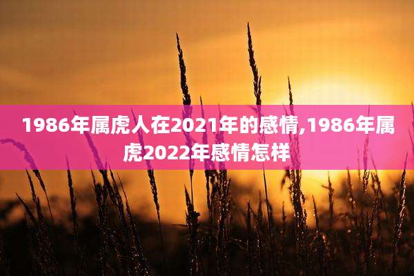 1986年属虎人在2021年的感情,1986年属虎2022年感情怎样