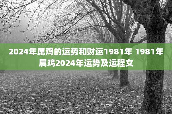 2024年属鸡的运势和财运1981年 1981年属鸡2024年运势及运程女