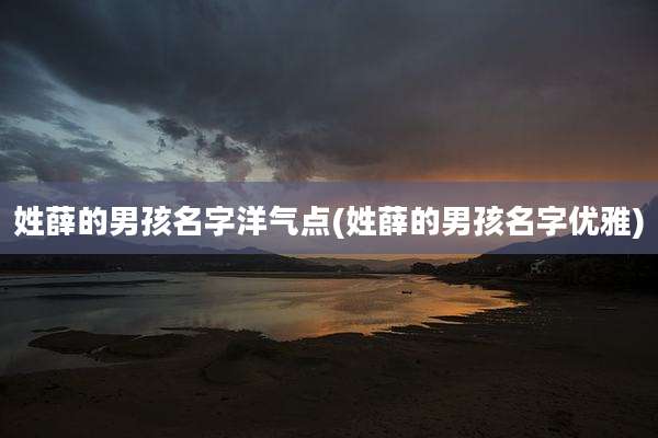 姓薛的男孩名字洋气点(姓薛的男孩名字优雅)