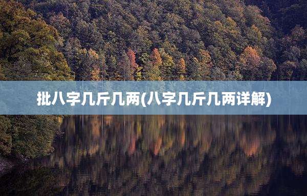 批八字几斤几两(八字几斤几两详解)