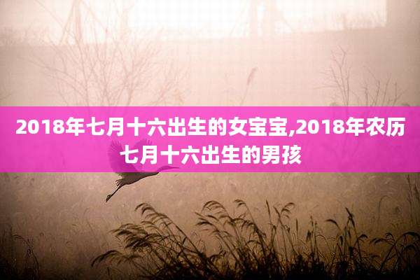 2018年七月十六出生的女宝宝,2018年农历七月十六出生的男孩