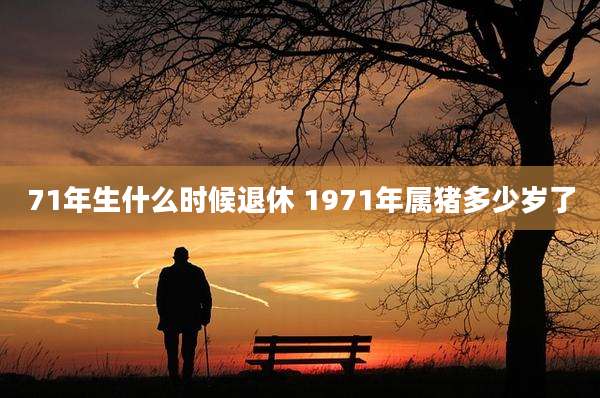 71年生什么时候退休 1971年属猪多少岁了