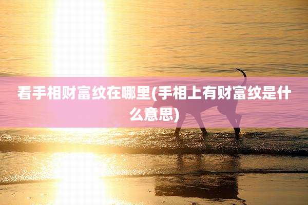 看手相财富纹在哪里(手相上有财富纹是什么意思)