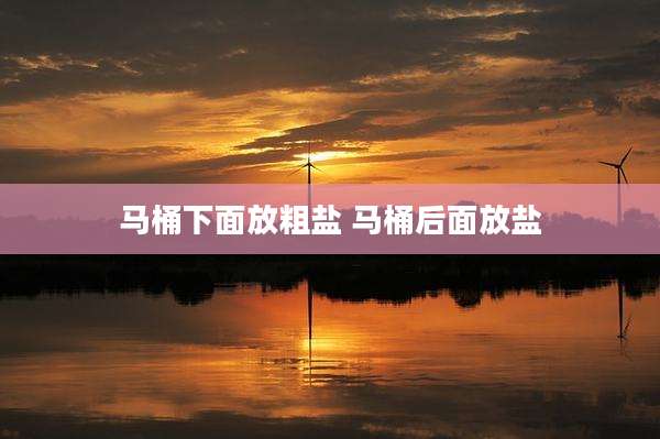 马桶下面放粗盐 马桶后面放盐