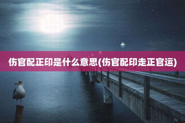 伤官配正印是什么意思(伤官配印走正官运)