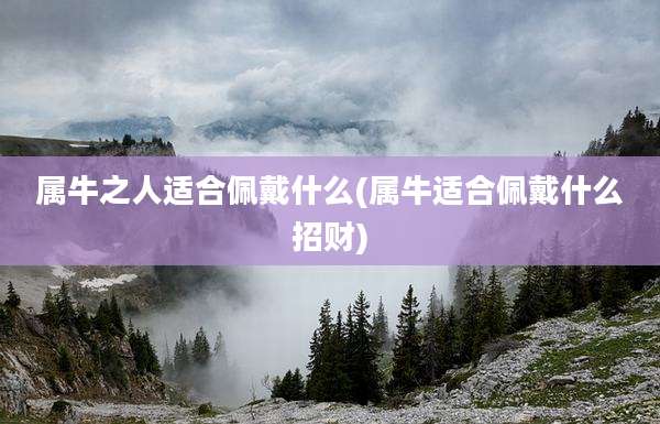 属牛之人适合佩戴什么(属牛适合佩戴什么招财)