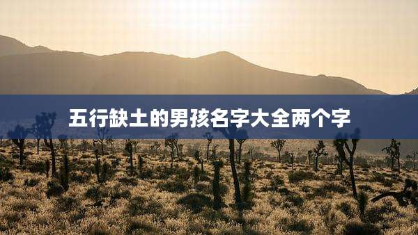 五行缺土的男孩名字大全两个字