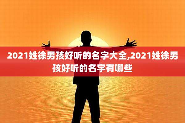 2021姓徐男孩好听的名字大全,2021姓徐男孩好听的名字有哪些