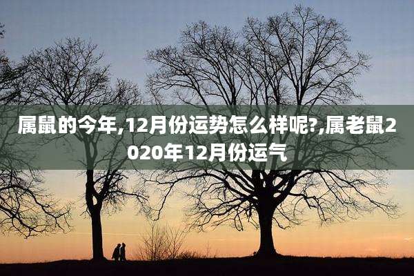 属鼠的今年,12月份运势怎么样呢?,属老鼠2020年12月份运气