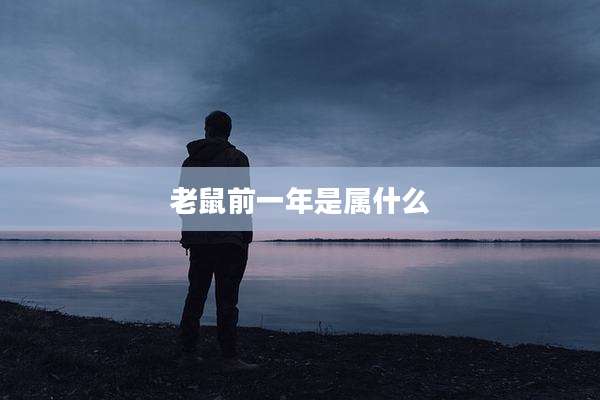 老鼠前一年是属什么