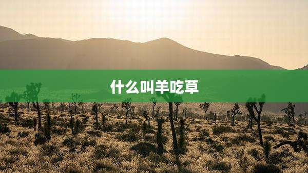 什么叫羊吃草