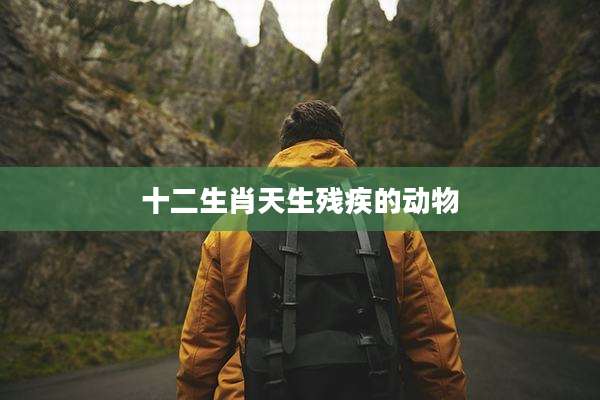 十二生肖天生残疾的动物