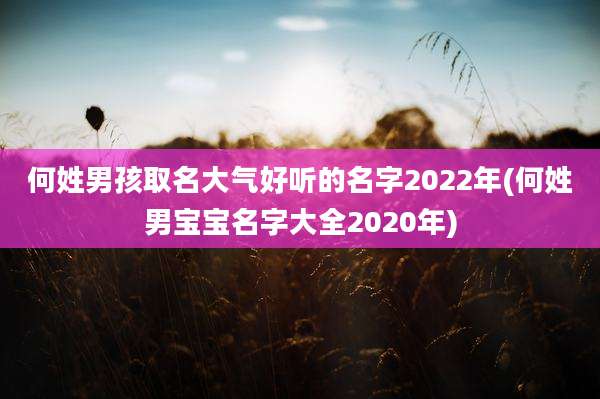何姓男孩取名大气好听的名字2022年(何姓男宝宝名字大全2020年)