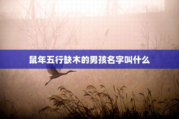 鼠年五行缺木的男孩名字叫什么