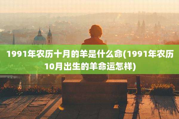 1991年农历十月的羊是什么命(1991年农历10月出生的羊命运怎样)