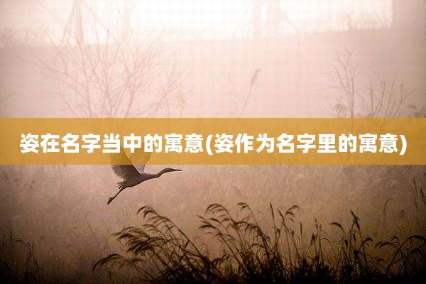 姿在名字当中的寓意(姿作为名字里的寓意)
