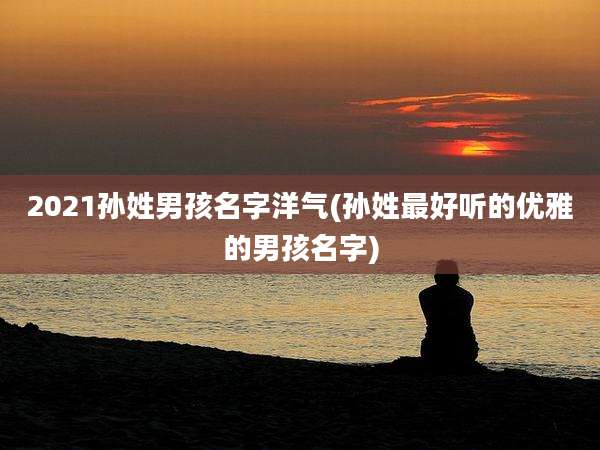 2021孙姓男孩名字洋气(孙姓最好听的优雅的男孩名字)