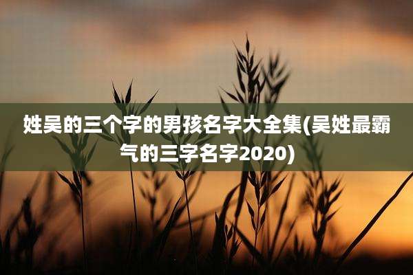 姓吴的三个字的男孩名字大全集(吴姓最霸气的三字名字2020)