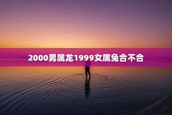 2000男属龙1999女属兔合不合