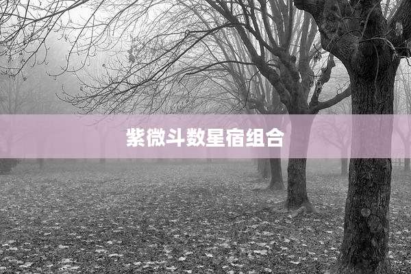 紫微斗数星宿组合