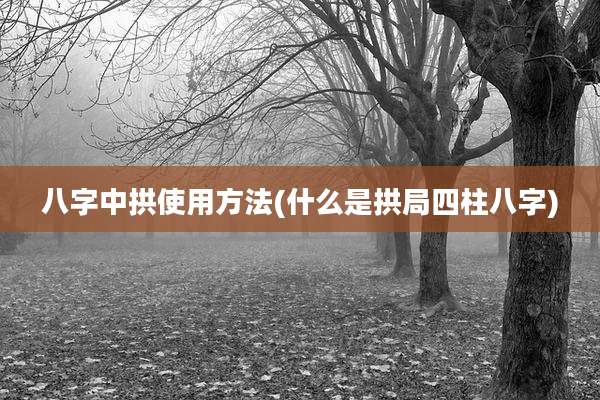 八字中拱使用方法(什么是拱局四柱八字)
