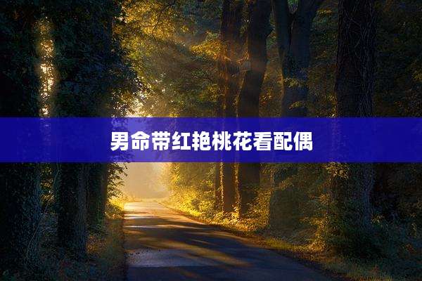 男命带红艳桃花看配偶