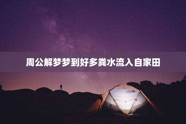 周公解梦梦到好多粪水流入自家田